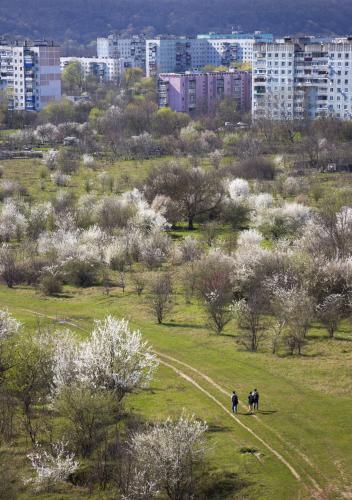 20 Фотоконкурс "Прочтение Майкопа"